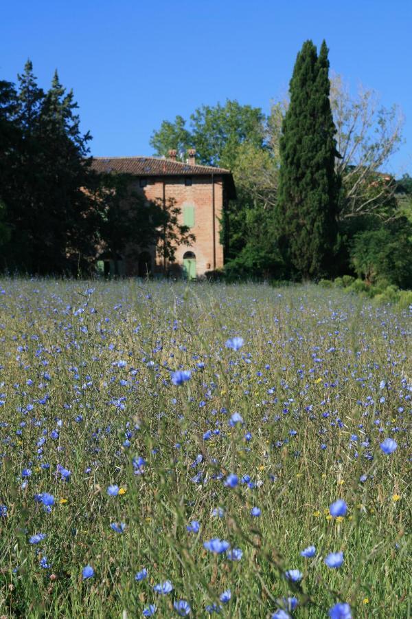 Galluzzo Ancient Country Villa Casalecchio Di Reno Bagian luar foto