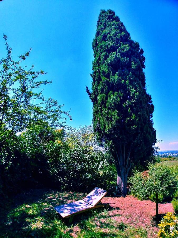 Galluzzo Ancient Country Villa Casalecchio Di Reno Bagian luar foto
